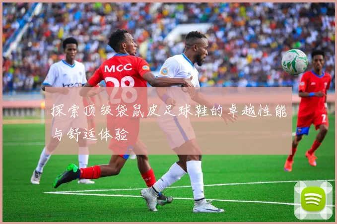 探索顶级袋鼠皮足球鞋的卓越性能与舒适体验