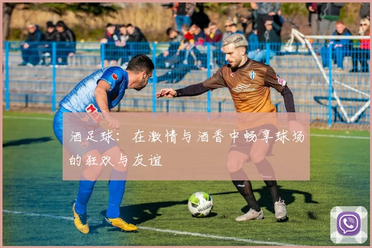 酒足球：在激情与酒香中畅享球场的狂欢与友谊