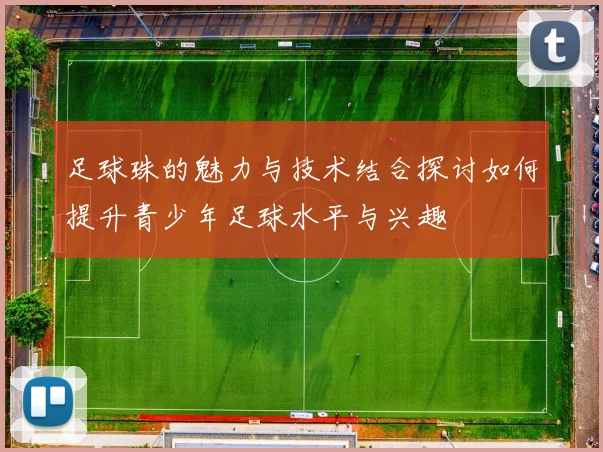 足球珠的魅力与技术结合探讨如何提升青少年足球水平与兴趣