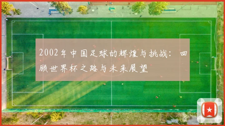 2002年中国足球的辉煌与挑战：回顾世界杯之路与未来展望